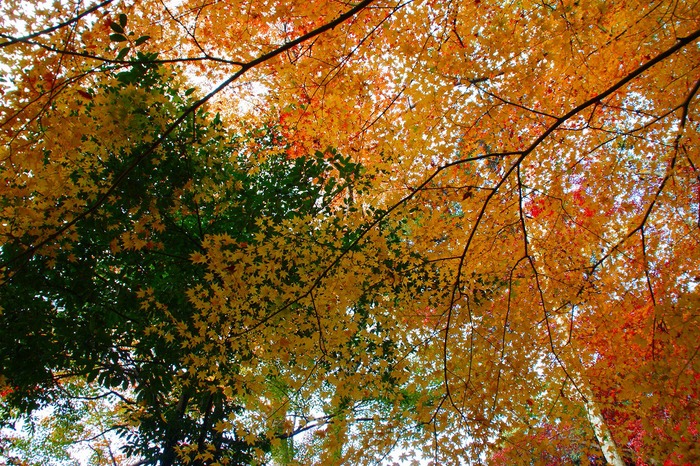 f0201348_22492426.jpg