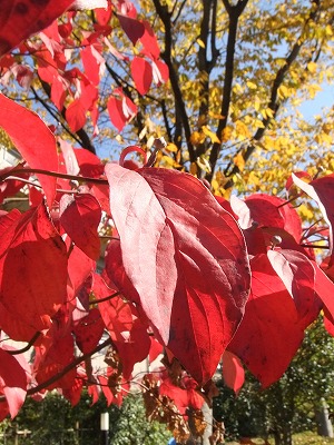 f0068649_2215941.jpg