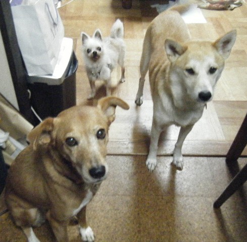 b0072650_13362160.jpg