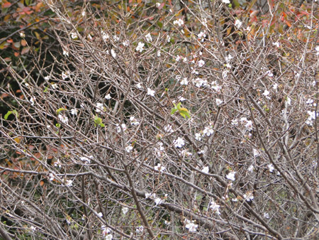 d0163550_1642571.jpg