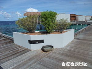 f0190653_925256.jpg