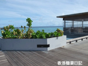 f0190653_9252897.gif