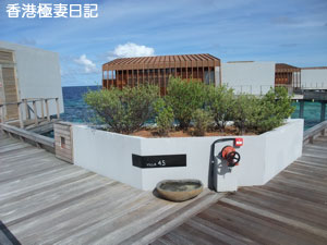 f0190653_9253131.jpg