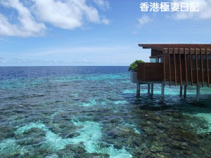 f0190653_925531.jpg