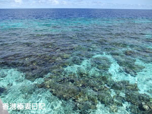 f0190653_9255799.jpg