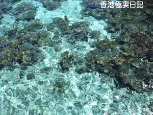 f0190653_926065.jpg