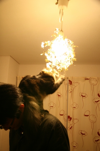 c0201257_1301640.jpg