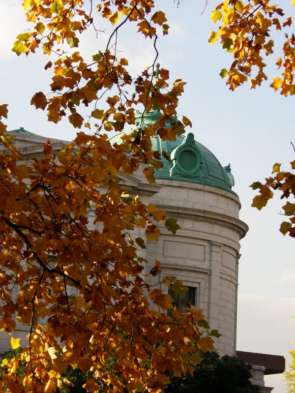 e0064158_0102413.jpg