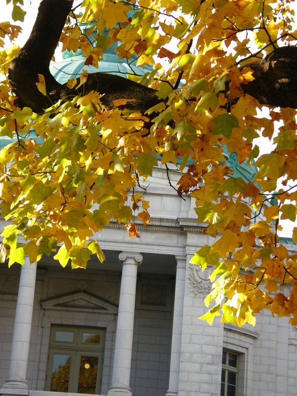 e0064158_0104335.jpg