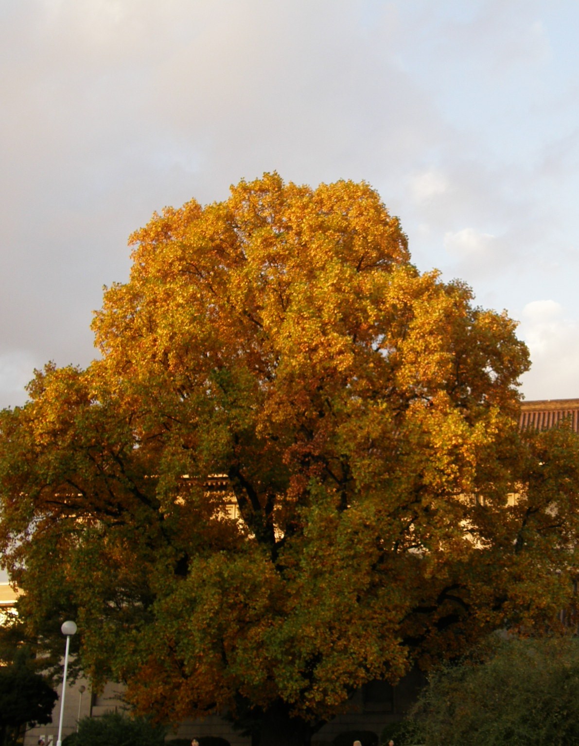 e0064158_0124691.jpg