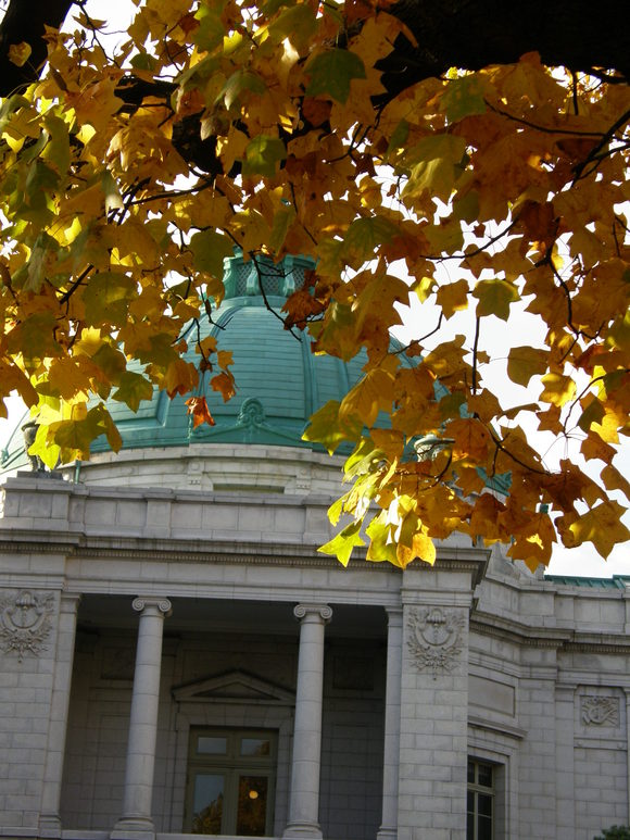 e0064158_0132262.jpg