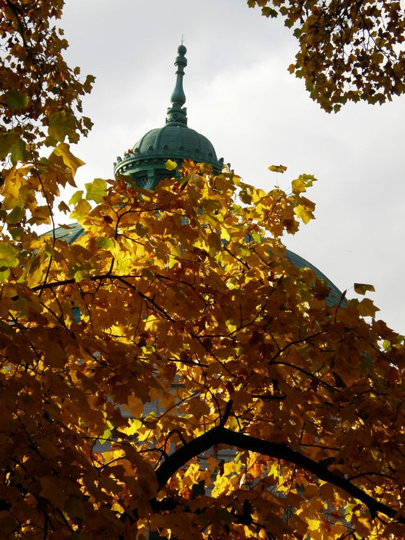 e0064158_095669.jpg