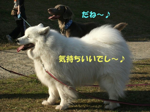 e0176159_14471735.jpg