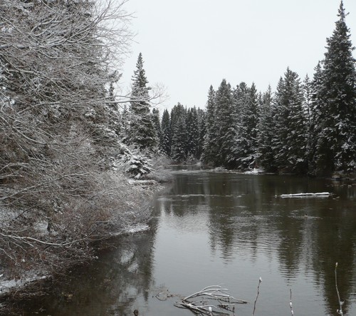f0214562_7143216.jpg