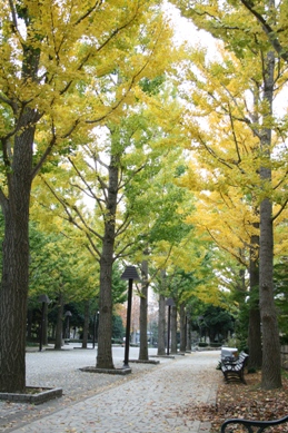 a0048471_232989.jpg