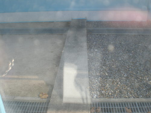 d0017172_19392775.jpg