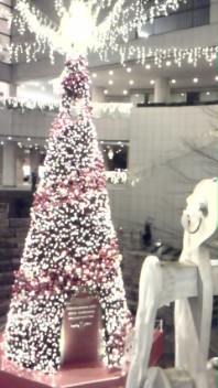 c0061774_0352219.jpg