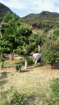 f0054677_86873.jpg