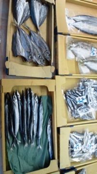f0054677_87079.jpg