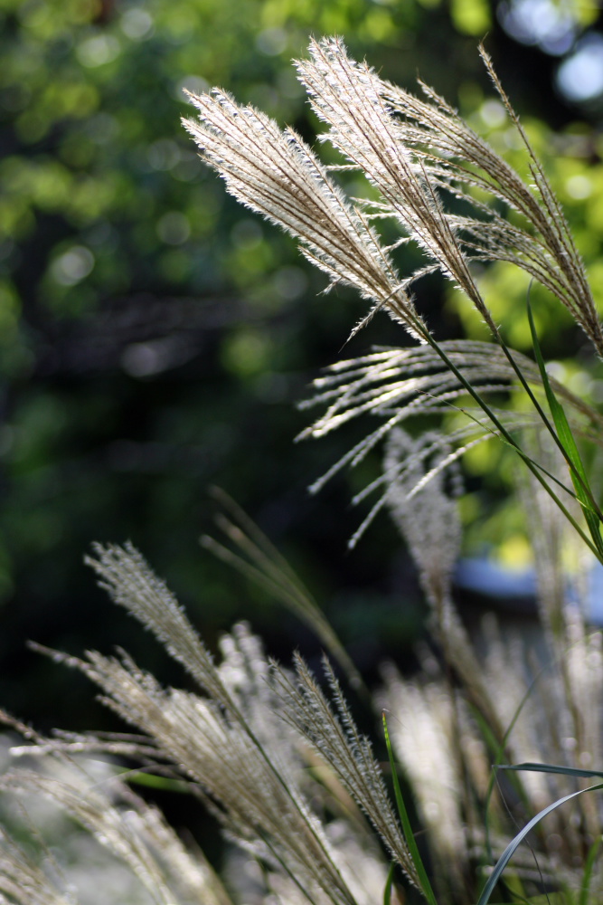 a0083081_16583970.jpg