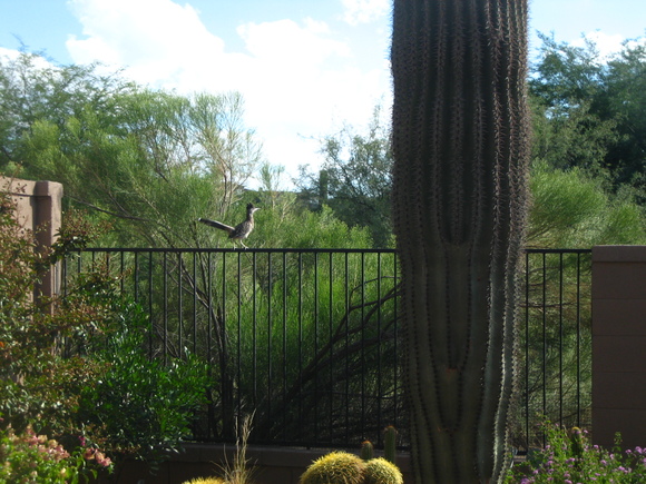 c0026482_347531.jpg