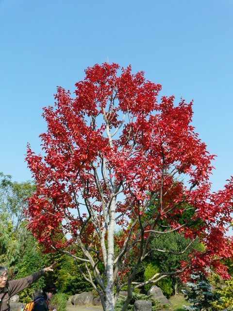 e0145782_16311522.jpg