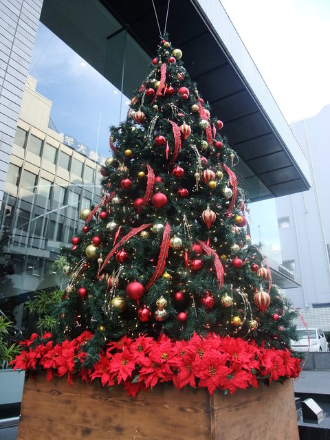 b0206085_9333532.jpg