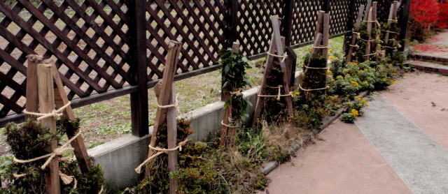 a0007388_17123614.jpg