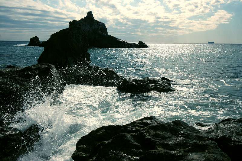 f0000789_1616693.jpg