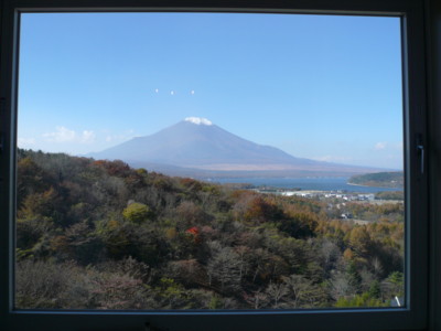 a0147890_107645.jpg