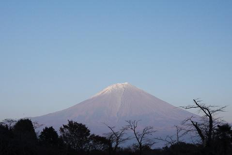 a0091891_19272665.jpg