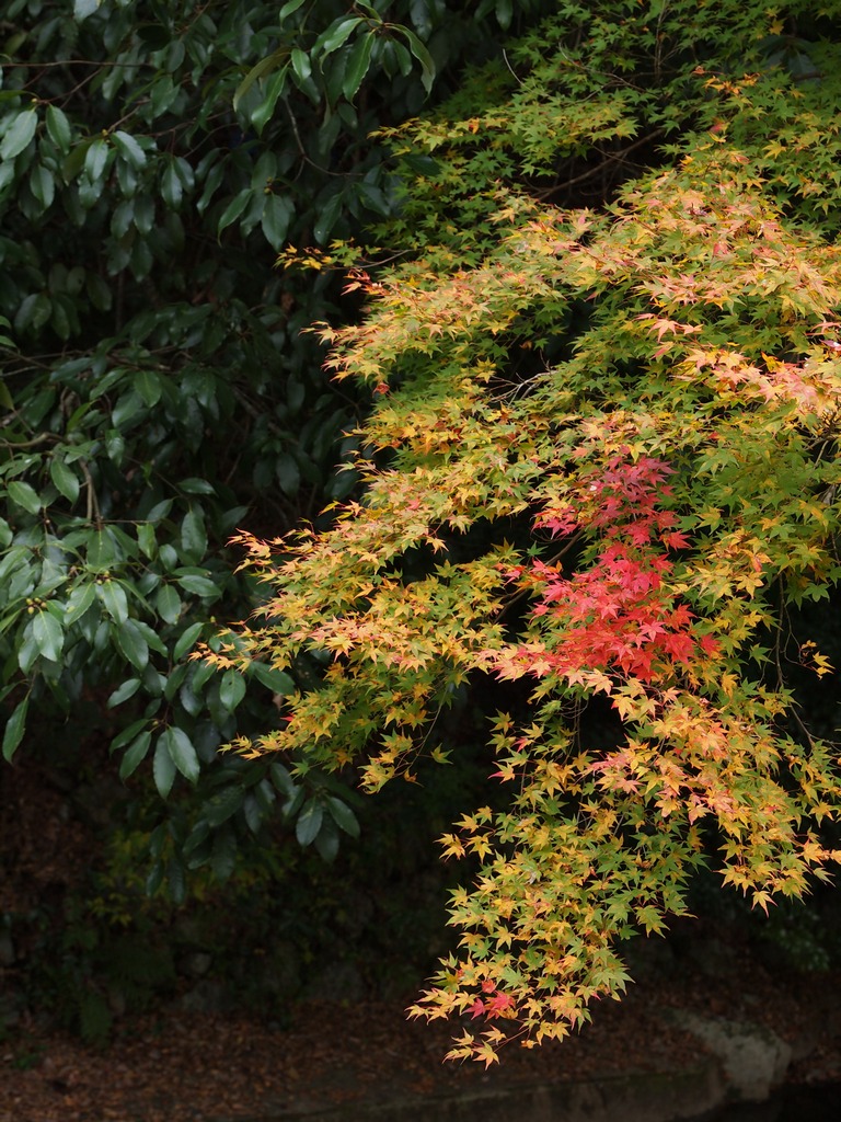 a0133692_21111286.jpg