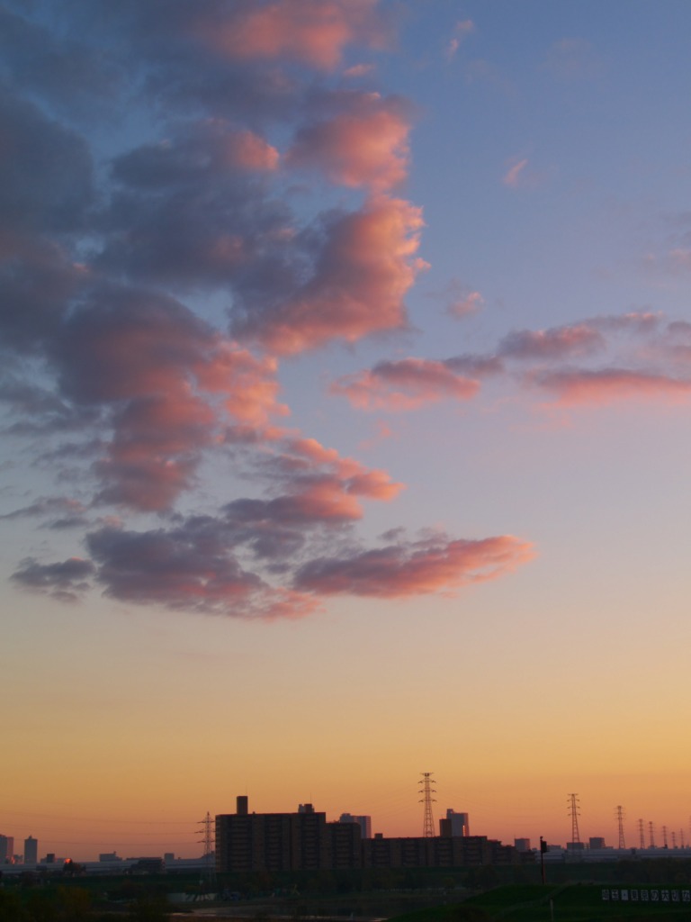 f0224100_6253037.jpg