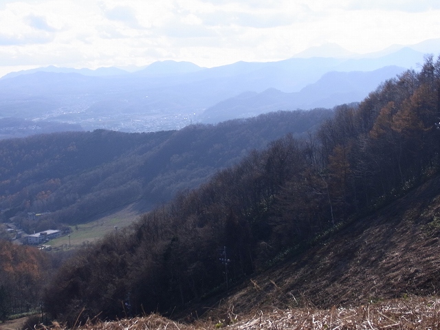 f0157901_2131875.jpg