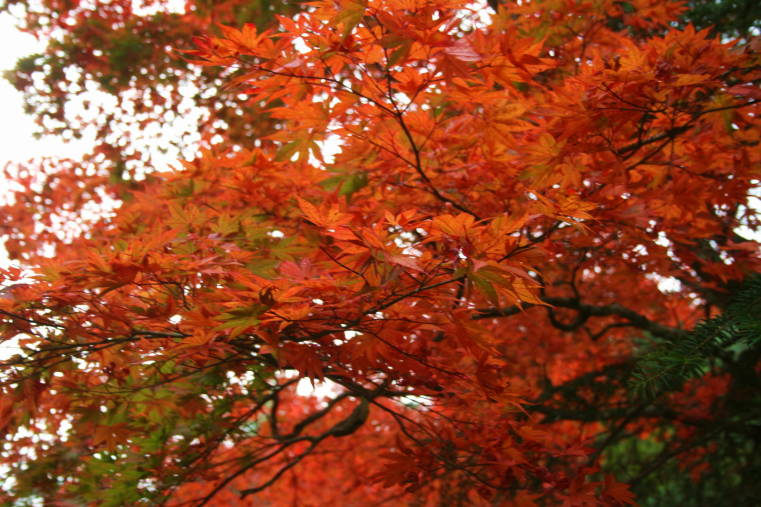 f0031304_6265338.jpg