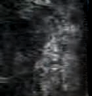 e0103408_1736085.gif