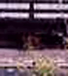 e0103408_17372863.gif