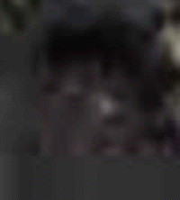 e0103408_17374847.gif