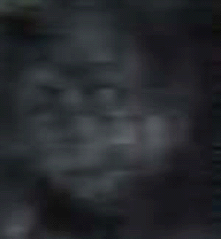 e0103408_1737732.gif