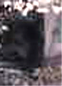 e0103408_1738278.gif
