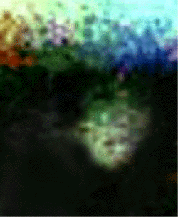 e0103408_18301365.gif