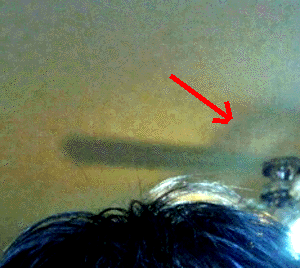 e0103408_18431197.gif