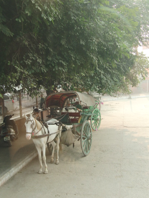 e0141909_014236.jpg