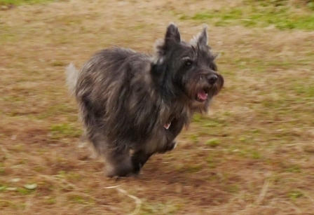 e0078510_22142531.jpg