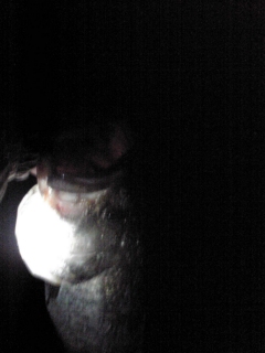 c0128914_0453053.jpg