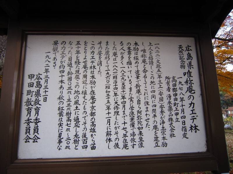 a0105023_168655.jpg