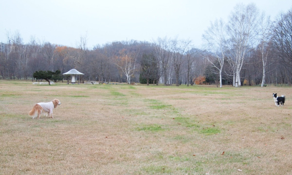 f0227228_10472519.jpg