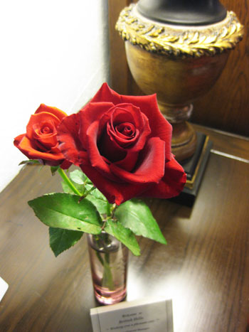 c0196240_8122660.jpg