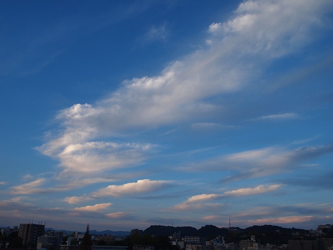 a0146442_7481220.jpg