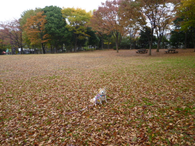 f0075043_67144.jpg